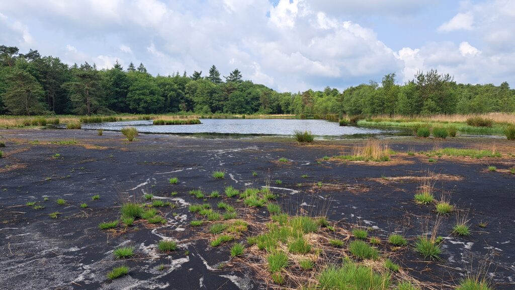Pieterpad dag 4: De mooiste wandeldag tot nu toe!