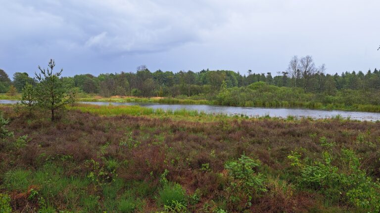 Gasterse duinen