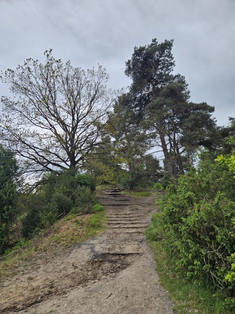 Carossel 2
